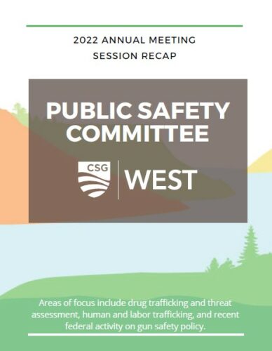 Image for Public Safety Committee Session Recap